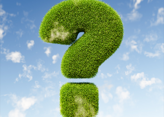 Sıkça Sorulan Sorular